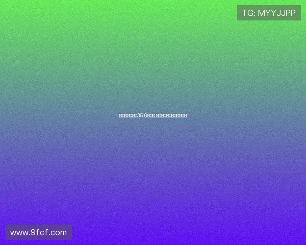 英超转会费突破35.6亿欧元 超德西法意甲总和引发热议